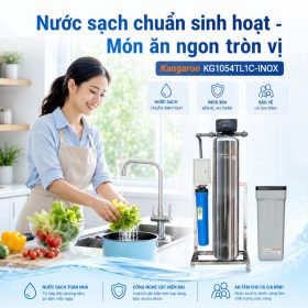 Bộ lọc tổng đầu nguồn gia đình KG1054TL1C-INOX, Van tự động, Xử lý Canxi