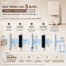 Máy lọc nước Coway Cinnamon P-6320R