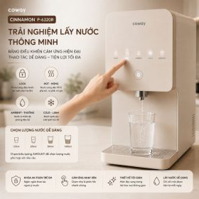 Máy lọc nước Coway Cinnamon P-6320R