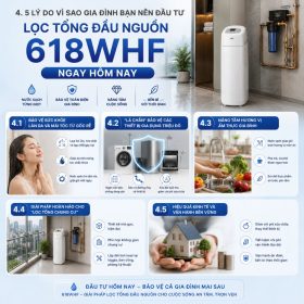 Lọc tổng đầu nguồn Ecowater 618WHF
