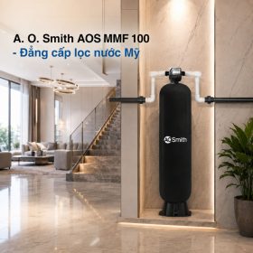 Hệ thống lọc nước đầu nguồn A. O. Smith AOS MMF 100