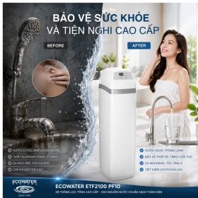 Lọc tổng đầu nguồn ECOWATER ETF2100 PF10