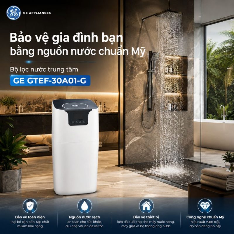 Bộ lọc nước trung tâm GE GTEF-30A01-G
