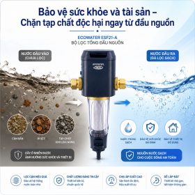 Lọc nước tổng đầu nguồn Ecowater ESF21-A
