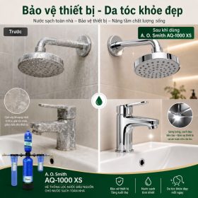 Hệ thống lọc nước đầu nguồn A. O. Smith AQ-1000 XS
