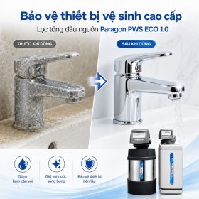 Lọc tổng đầu nguồn Paragon PWS 1.0