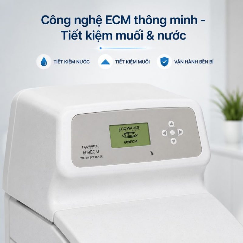 Lọc tổng đầu nguồn Ecowater 609ECM