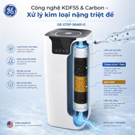 Bộ lọc nước trung tâm GE GTEF-30A01-G