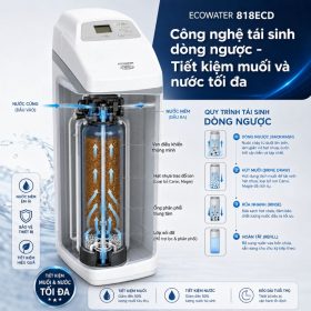 Lọc tổng đầu nguồn Ecowater 818ECD