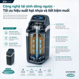 Lọc tổng đầu nguồn Ecowater 300 Boost