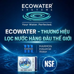 Lọc tổng đầu nguồn ECOWATER 610WHF