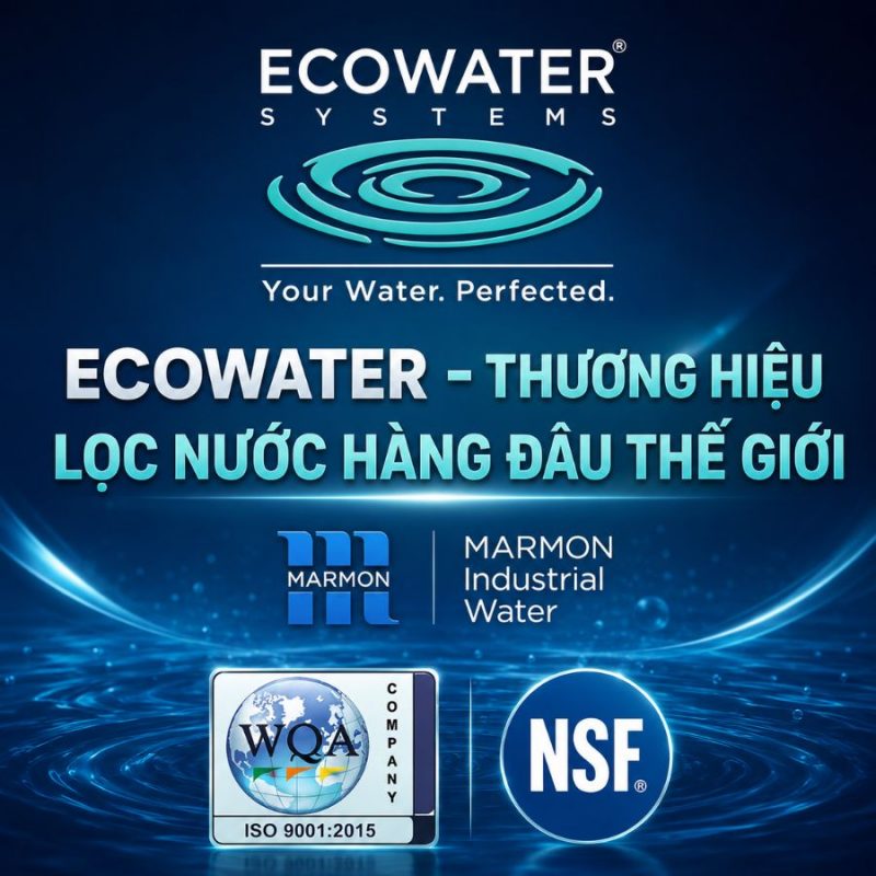 Lọc tổng đầu nguồn ECOWATER 610WHF