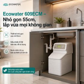 Lọc tổng đầu nguồn Ecowater 609ECM