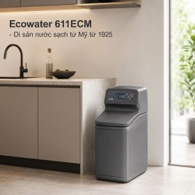 Lọc tổng đầu nguồn Ecowater 611ECM
