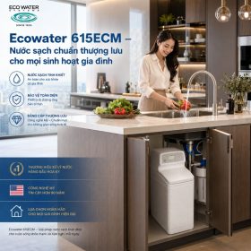 Lọc tổng đầu nguồn Ecowater 615ECM