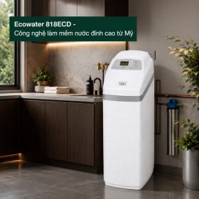 Lọc tổng đầu nguồn Ecowater 818ECD