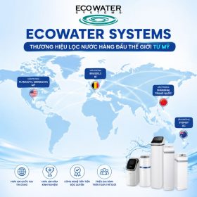 Lọc tổng đầu nguồn Ecowater 925ECM