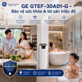 Bộ lọc nước trung tâm GE GTEF-30A01-G