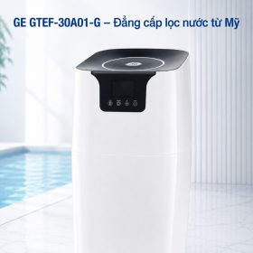 Bộ lọc nước trung tâm GE GTEF-30A01-G