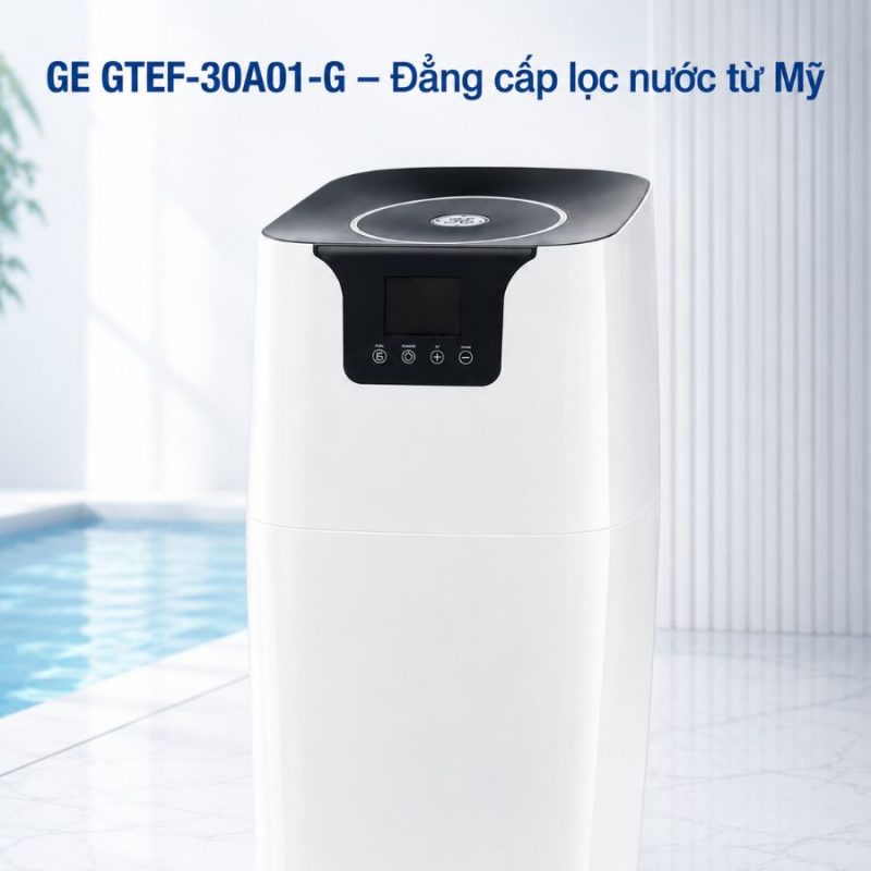 Bộ lọc nước trung tâm GE GTEF-30A01-G