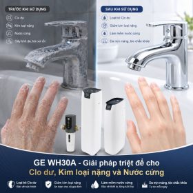 Lọc tổng đầu nguồn GE WH30A