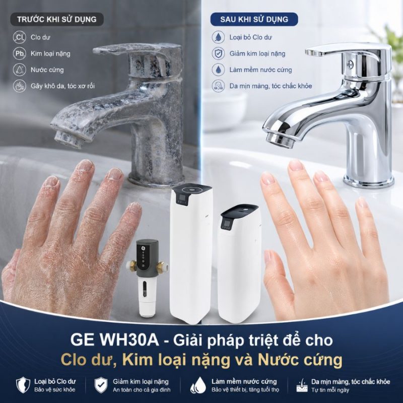 Lọc tổng đầu nguồn GE WH30A