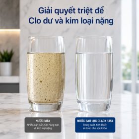Hệ thống lọc nước đầu nguồn Clack 1354 CI-01 Media
