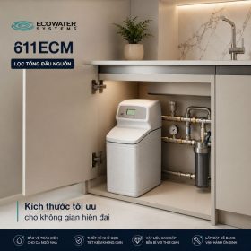 Lọc tổng đầu nguồn Ecowater 611ECM