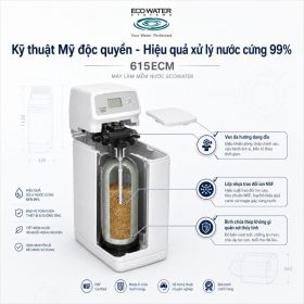 Lọc tổng đầu nguồn Ecowater 615ECM