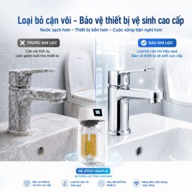 Lọc nước tổng đầu nguồn GE GTEC-15A01-G (làm mềm)