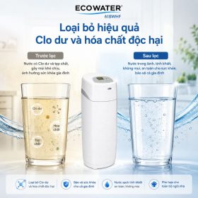 Lọc tổng đầu nguồn ECOWATER 618WHF