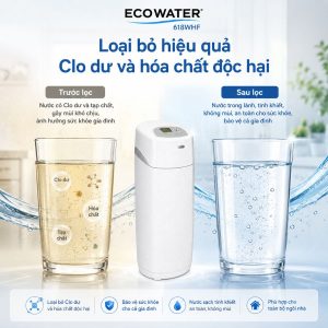 Loại bỏ hiệu quả Clo dư và hóa chất độc hại
