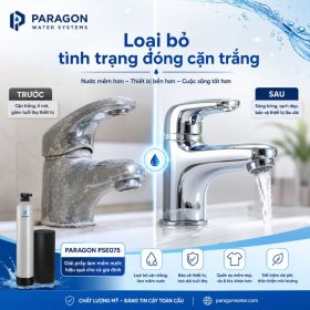 Lọc tổng đầu nguồn Paragon PSE075
