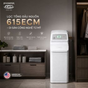 Lọc tổng đầu nguồn Ecowater 615ECM