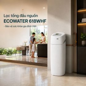 Lọc tổng đầu nguồn ECOWATER 618WHF