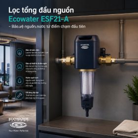 Lọc nước tổng đầu nguồn Ecowater ESF21-A