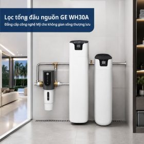 Lọc tổng đầu nguồn GE WH30A