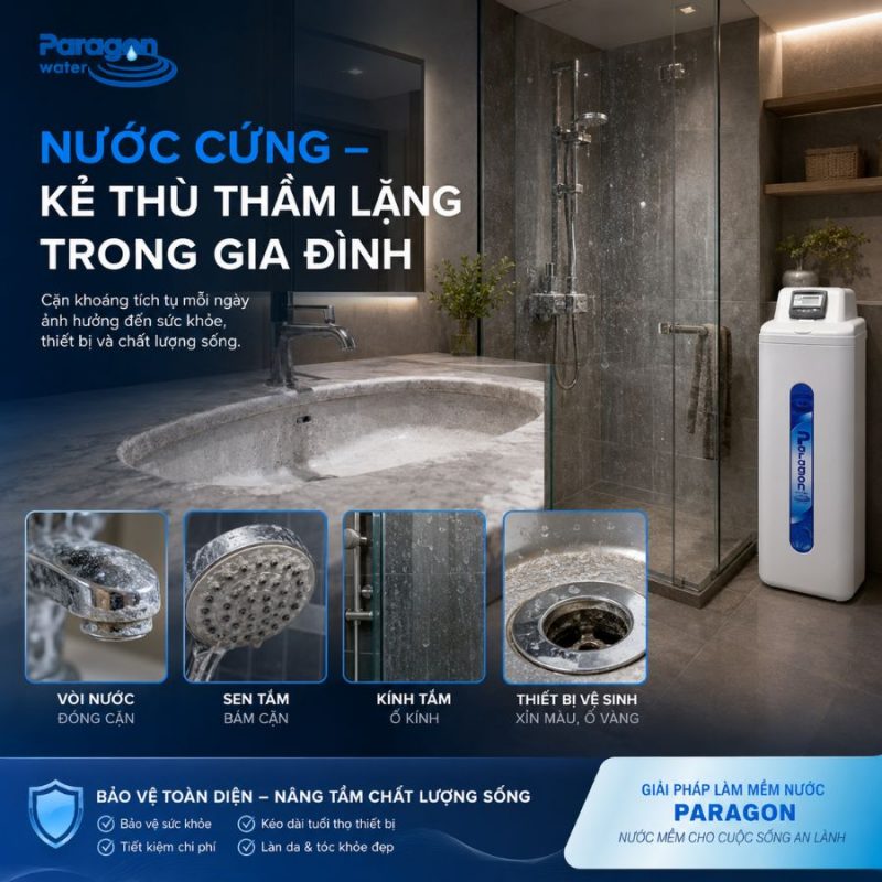 Lọc tổng đầu nguồn Paragon PSE25