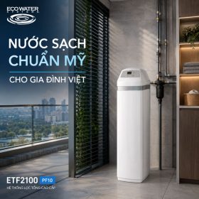 Lọc tổng đầu nguồn ECOWATER ETF2100 PF10