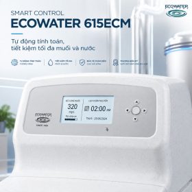 Lọc tổng đầu nguồn Ecowater 615ECM