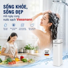 Bộ lọc nước tổng đầu nguồn trung tâm dùng điện Viessmann Vitopure S2-3T
