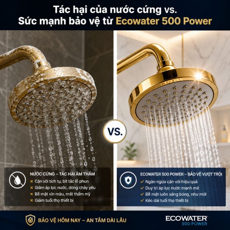 Lọc tổng đầu nguồn Ecowater 500 Power