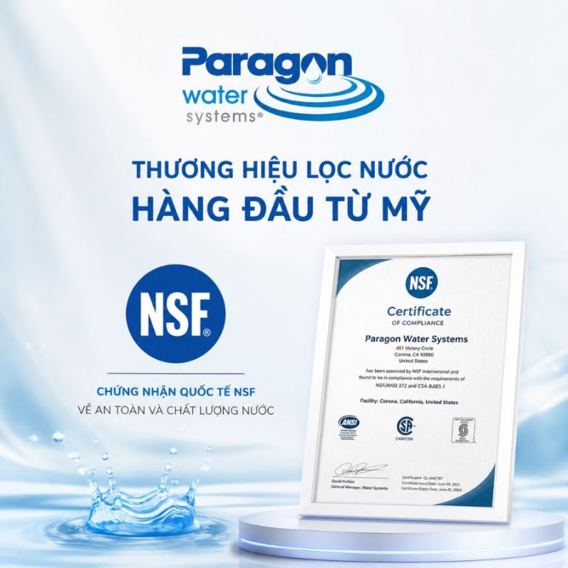 Lọc tổng đầu nguồn Paragon PSE075