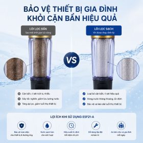 Lọc tổng đầu nguồn Ecowater ESF21-A