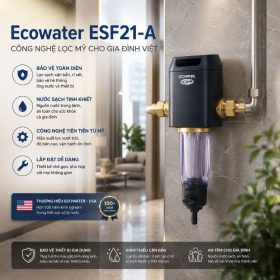 Lọc tổng đầu nguồn Ecowater ESF21-A