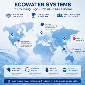 Lọc tổng đầu nguồn Ecowater 618WHF