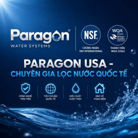 Lọc tổng đầu nguồn Paragon PWS 2.0 LUX có nguồn gốc nhập khẩu theo chứng từ cho biệt thự
