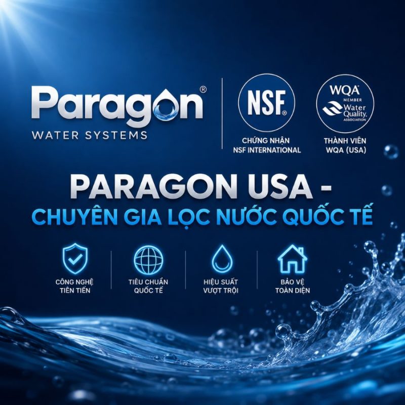 Lọc tổng đầu nguồn Paragon PWS 2.0 LUX có nguồn gốc nhập khẩu theo chứng từ cho biệt thự