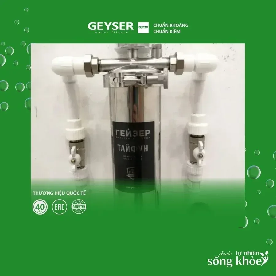 Ảnh thực tế lọc tổng Geyser Ecotar dùng trong bài so sánh thương hiệu lọc tổng