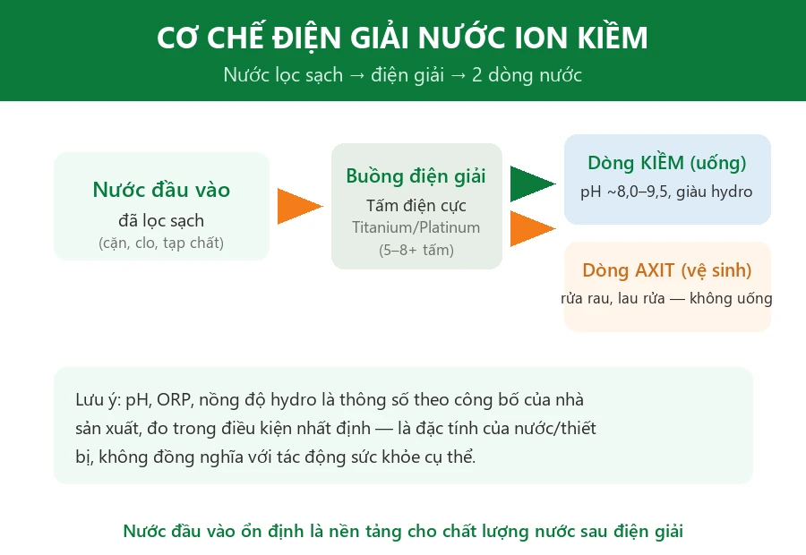 Cơ chế điện giải tạo nước ion kiềm: nước lọc sạch qua buồng điện giải tấm điện cực tách thành dòng kiềm và dòng axit